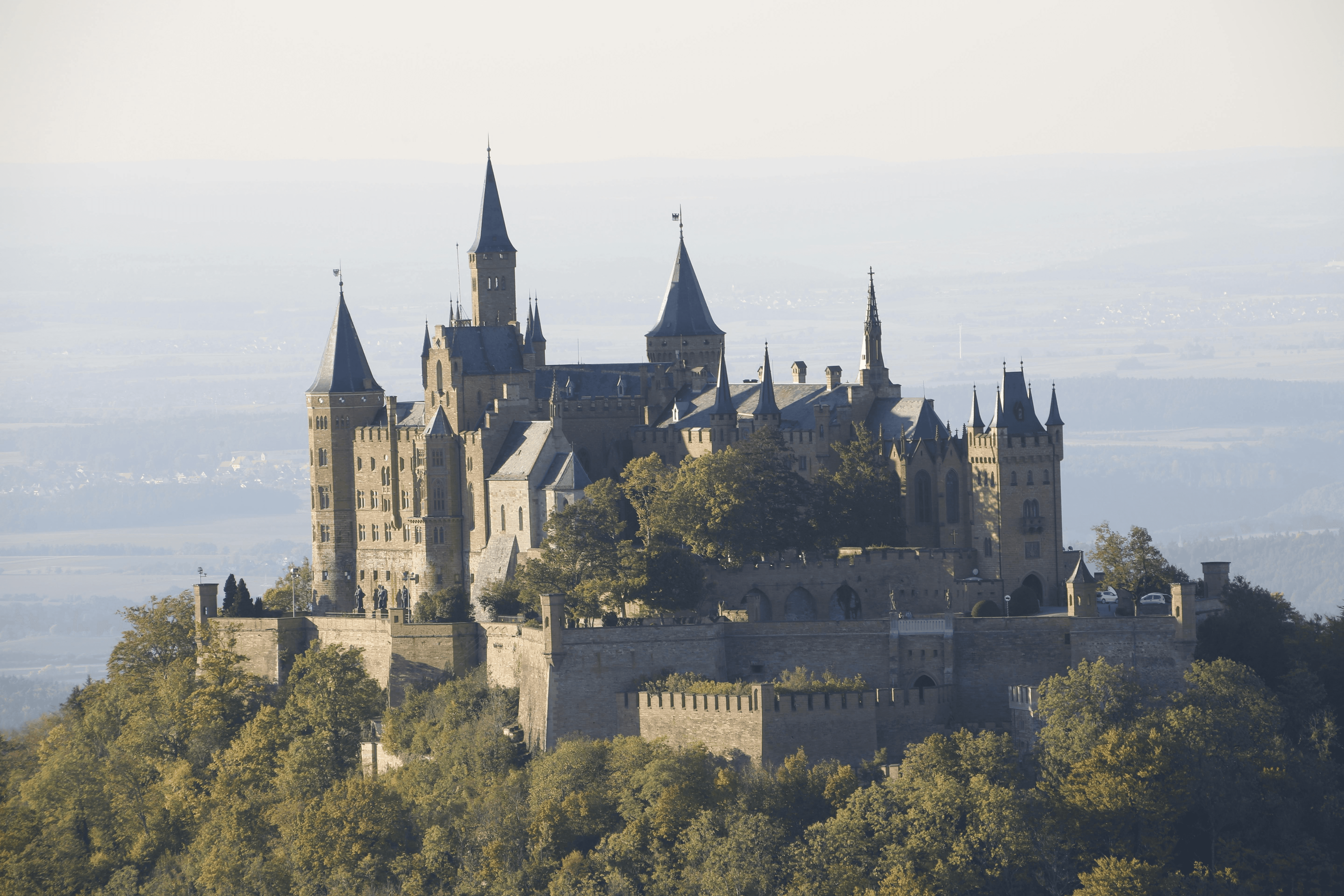 green trees near body of water during daytime