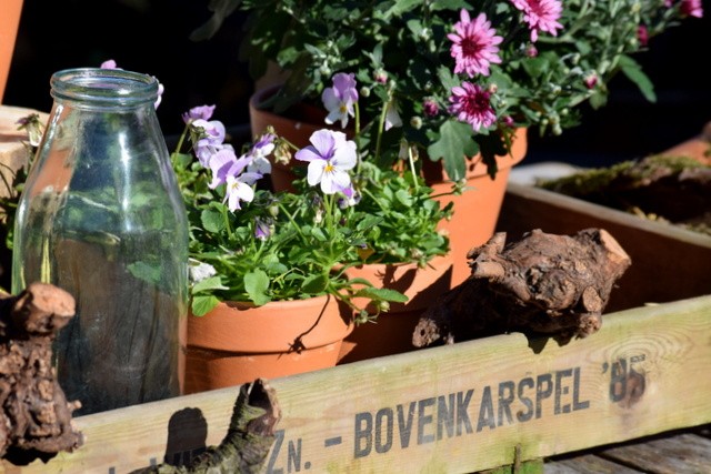 nieuwewildernis-maisonbelle6