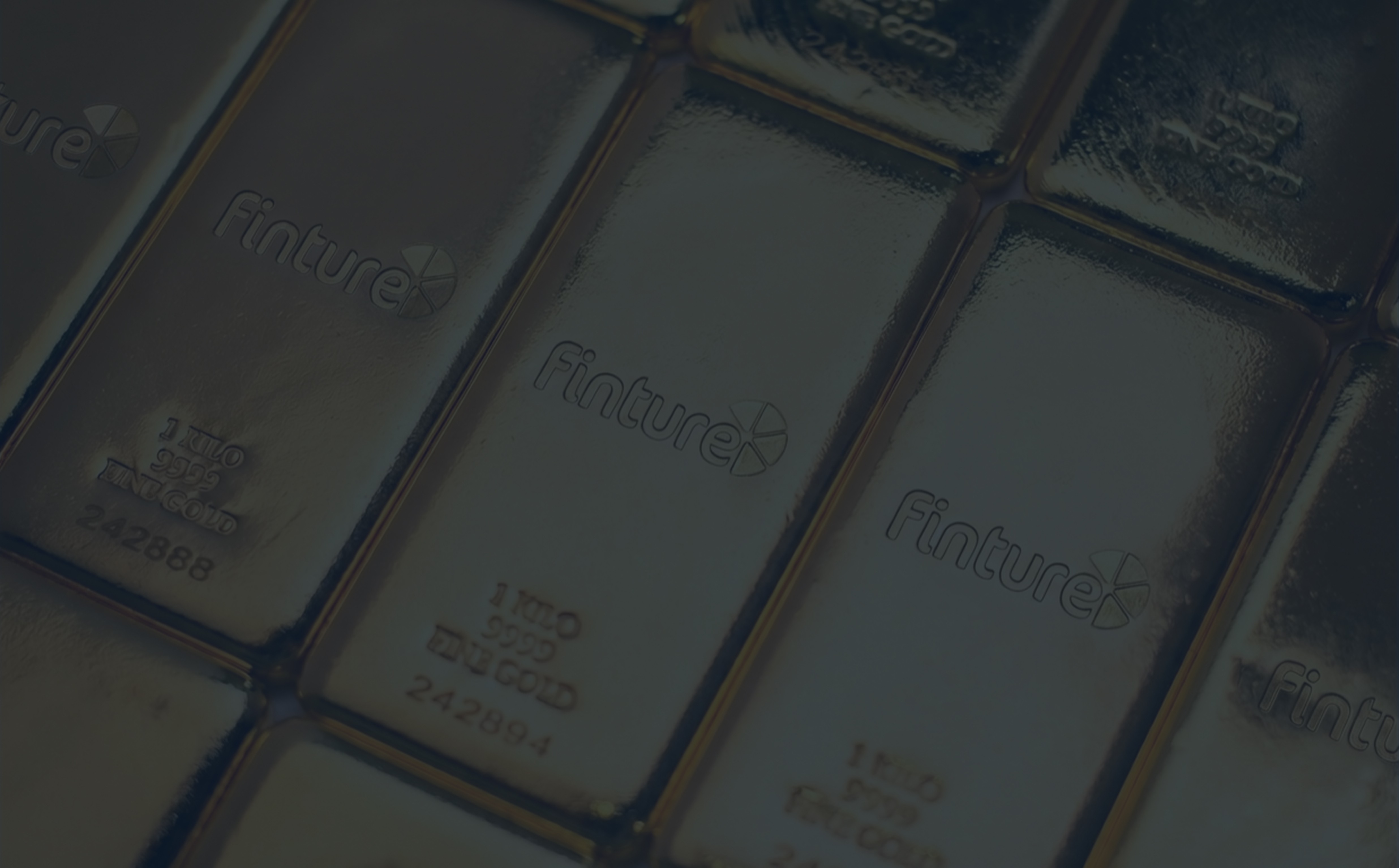 Finture Goldbarren Edelmetalle