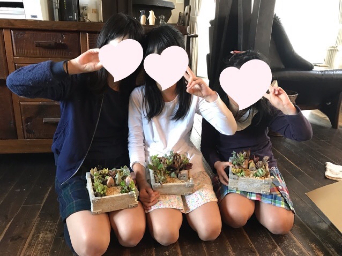 ココの杜だより 記事の写真