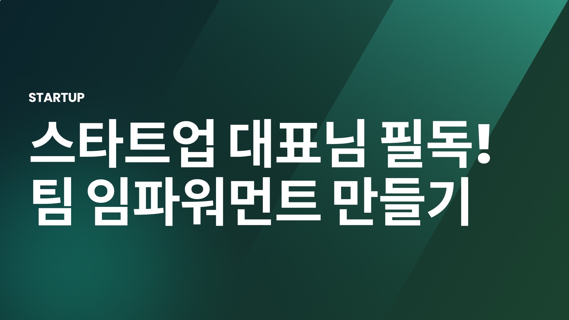 스타트업 대표