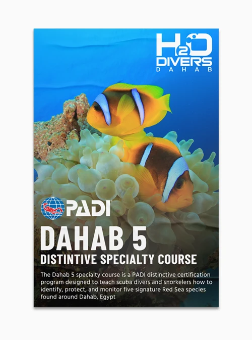 Poster for a PADI distinctive specialty