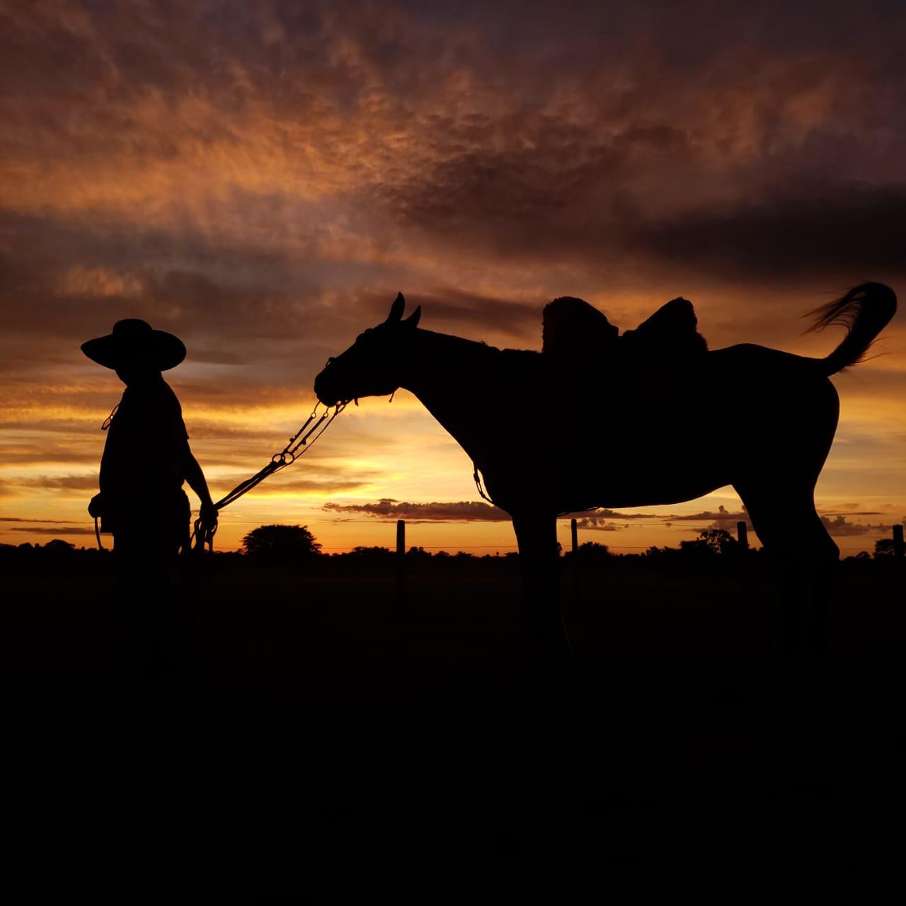 Silhouette of a cowboy with his horse at sunset in the Pantanal – a moment of traditional calm amid the vast open plains.