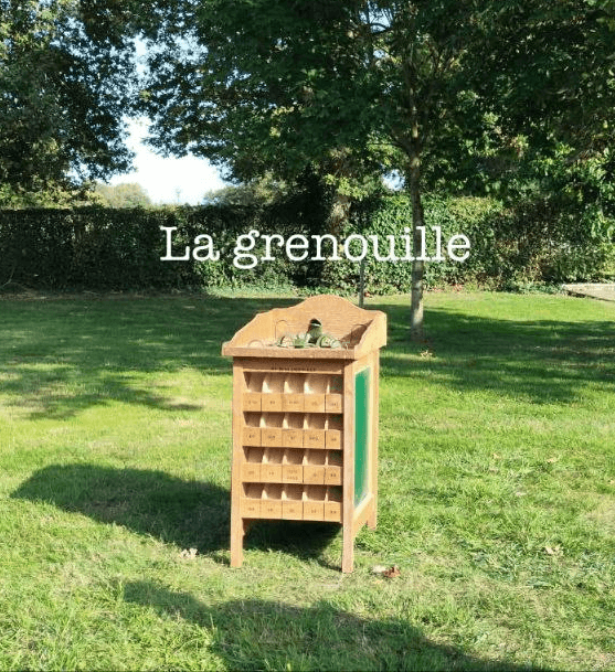 Jeu en bois la grenouille