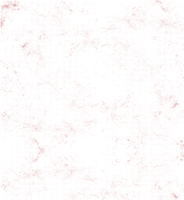 BG Grain