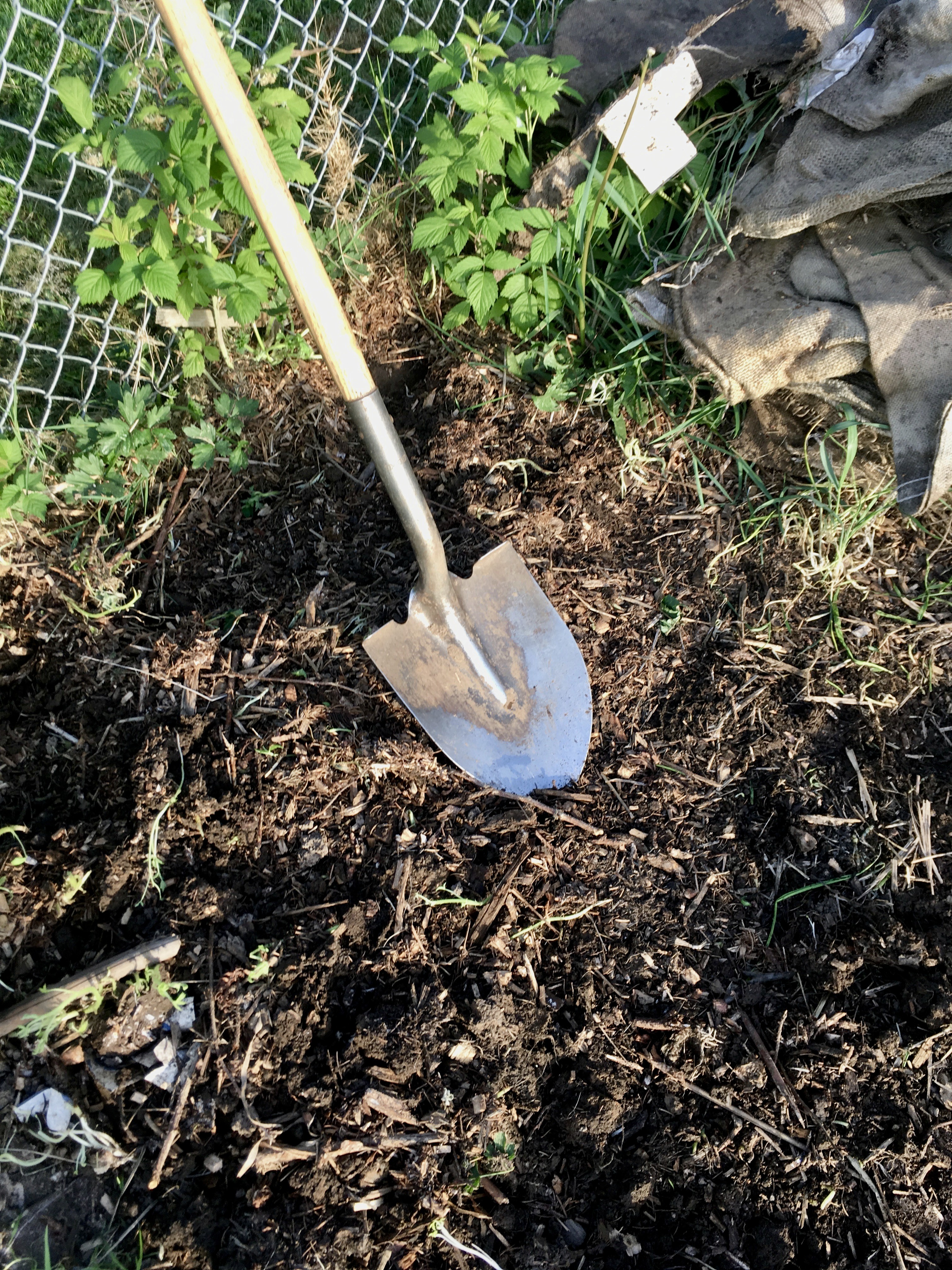 Gardening