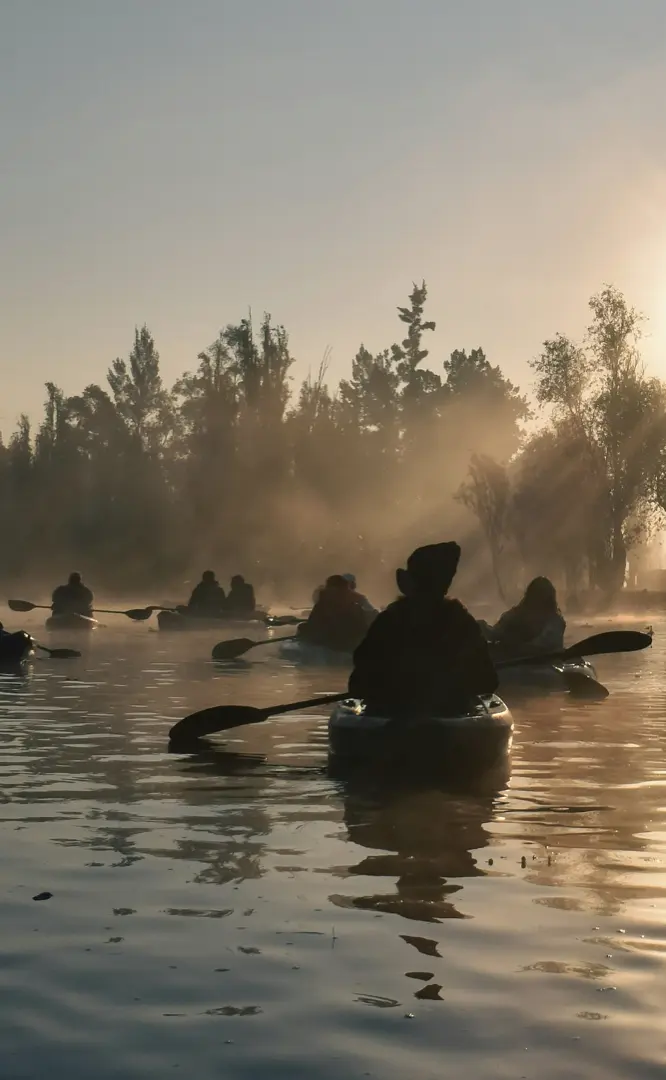 a group of people in kayaks on the water at sunset