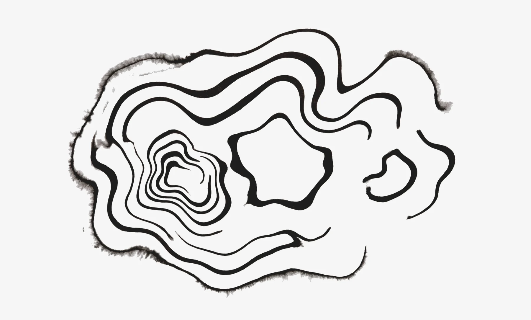 Suminagashi: bold floated-ink ribbons pooled into one connected system of contours, like a survey of ground that moved.