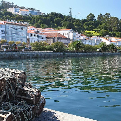 Porto con una pila di trappole per la pesca in primo piano, acqua e edifici con tetti rossi sullo sfondo.