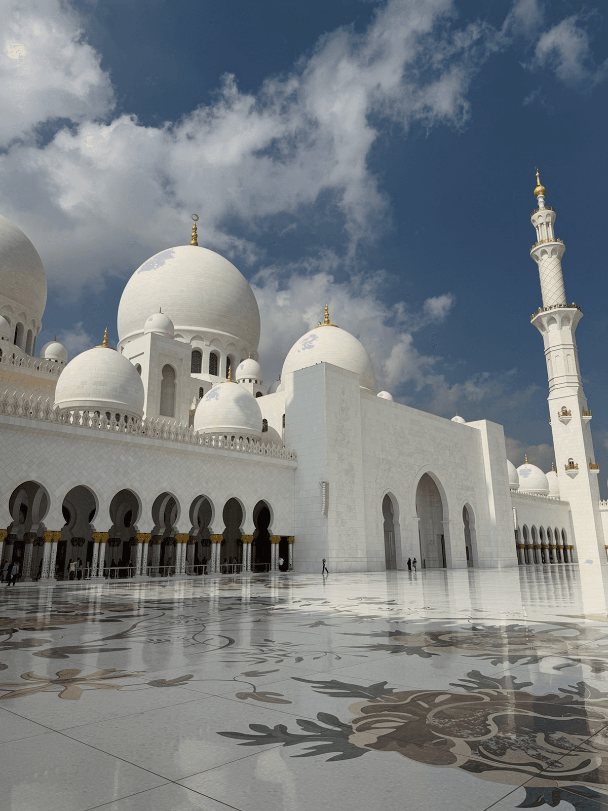 Phone showing Bloomy UI