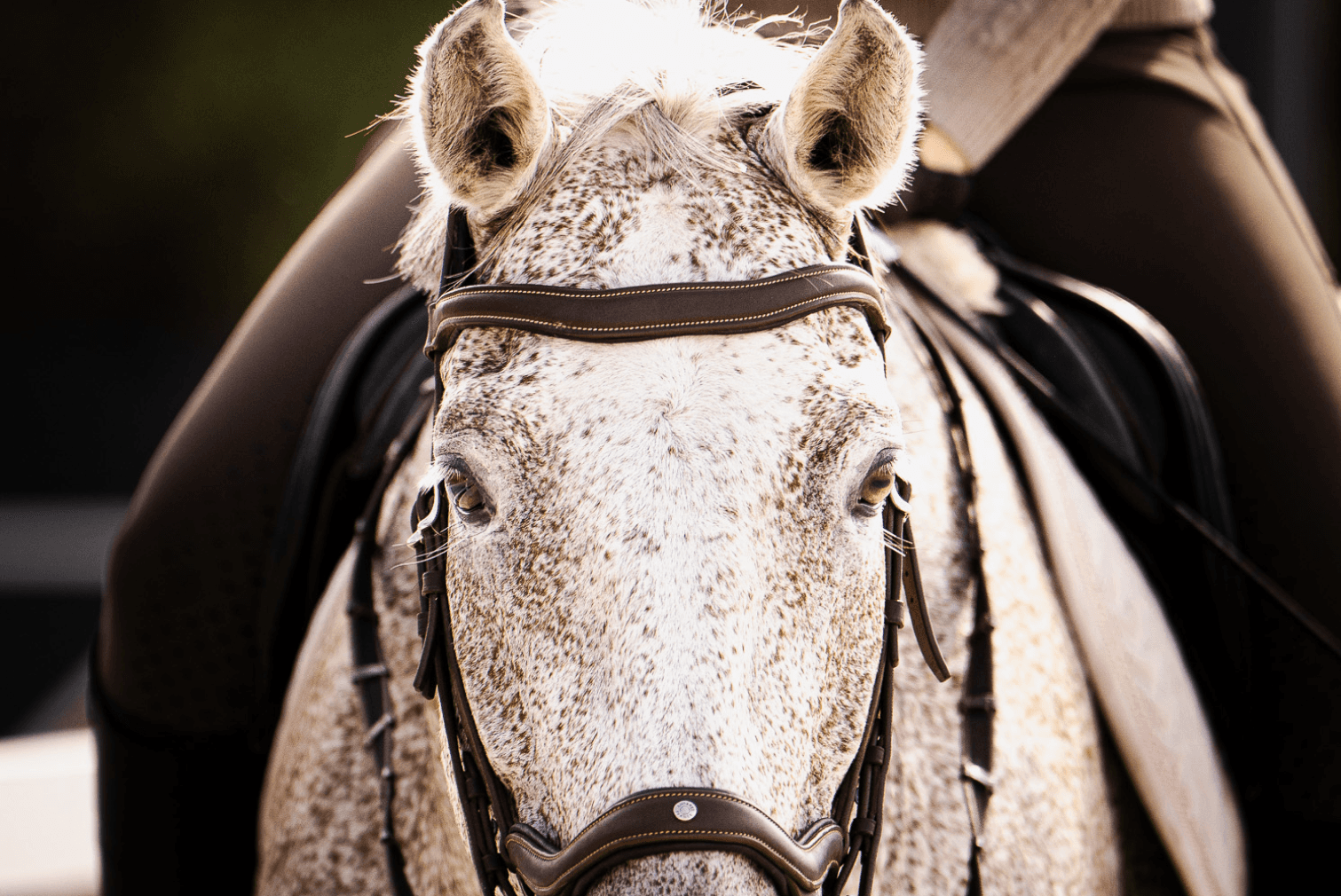 a cell phone on a ledge