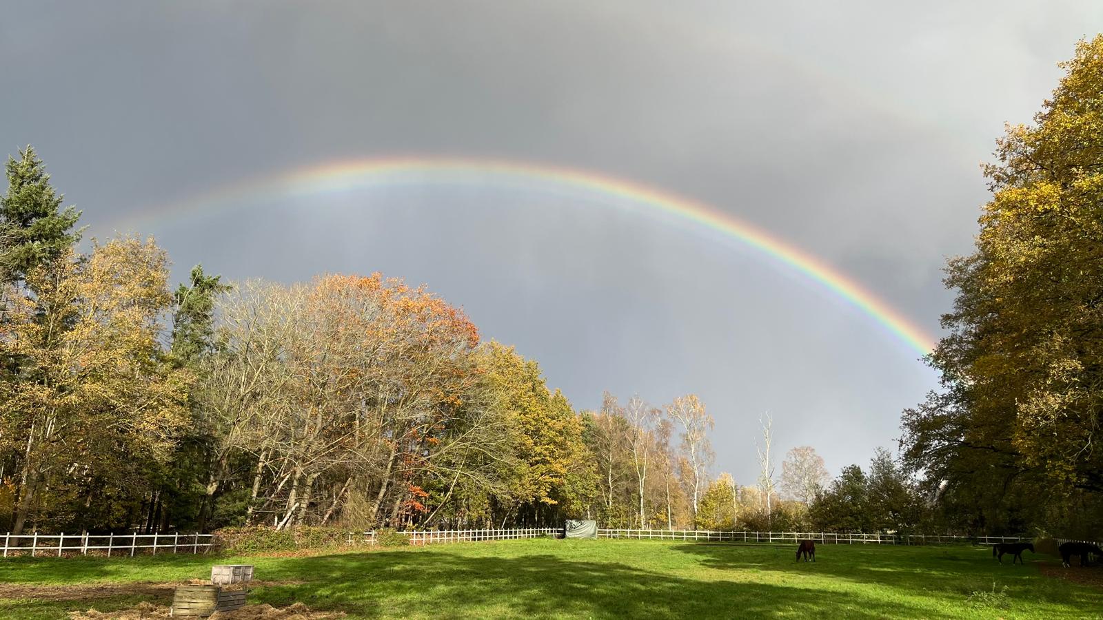 The image featured at the bottom of the about us page