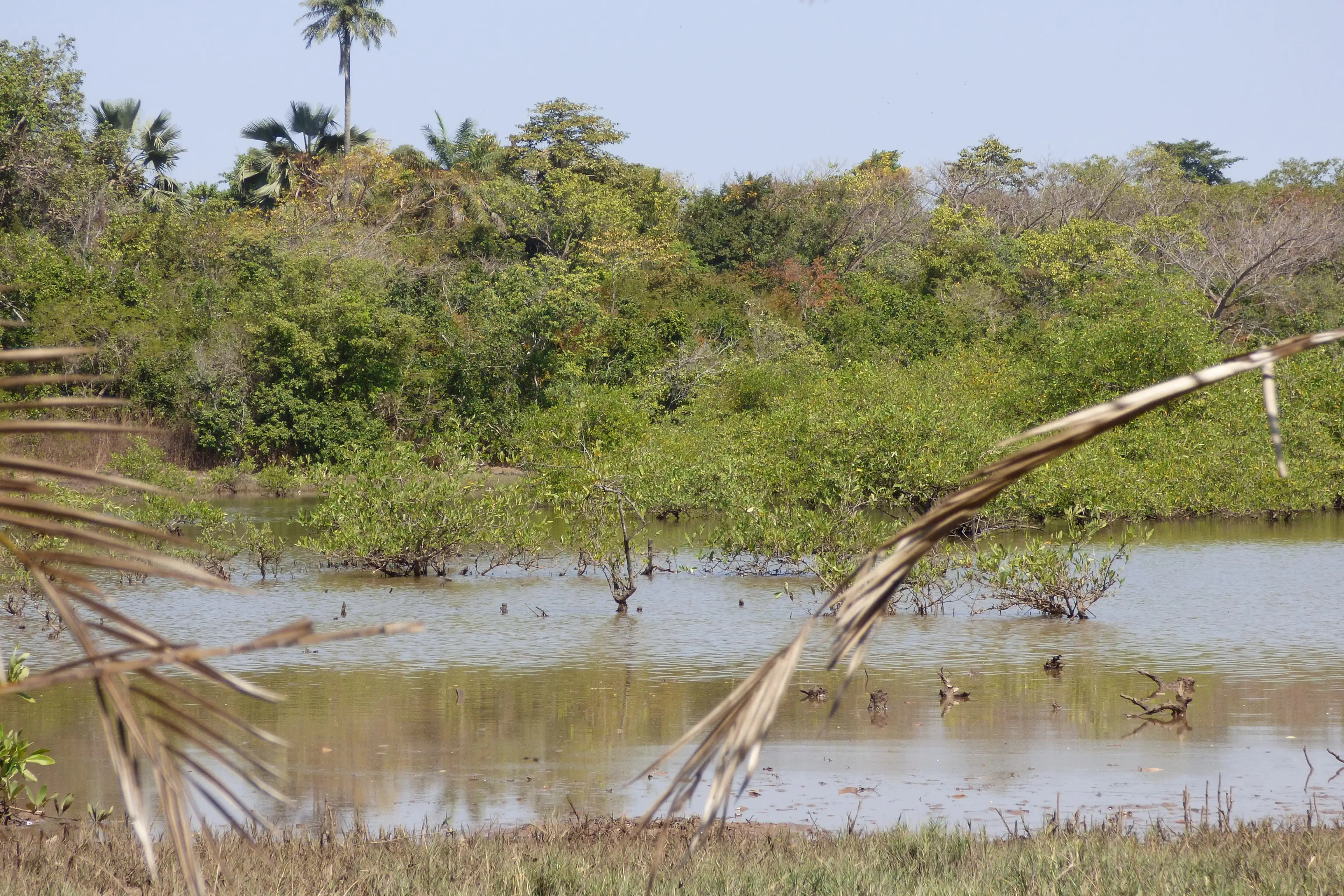 Gambia