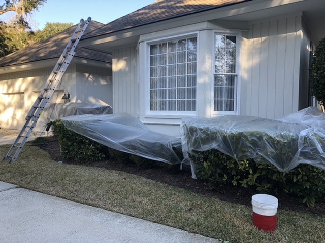 covering plants before roof washing lexington, sc