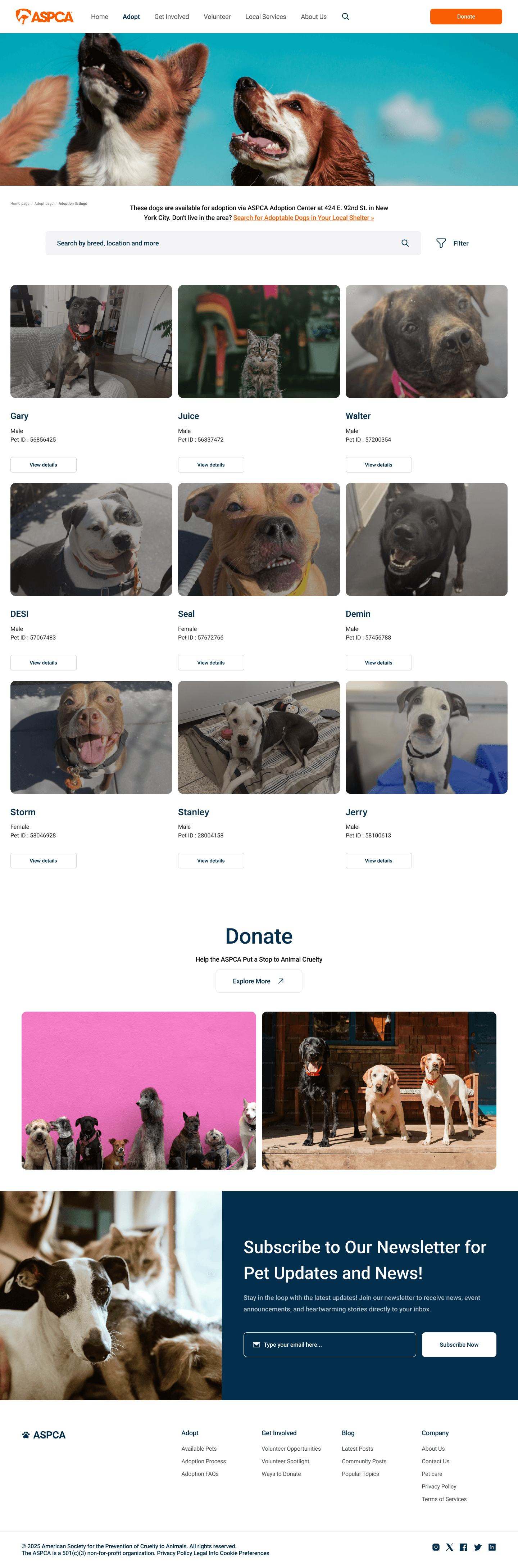 A mockup of a Macbook for the about us page of the hair salon website