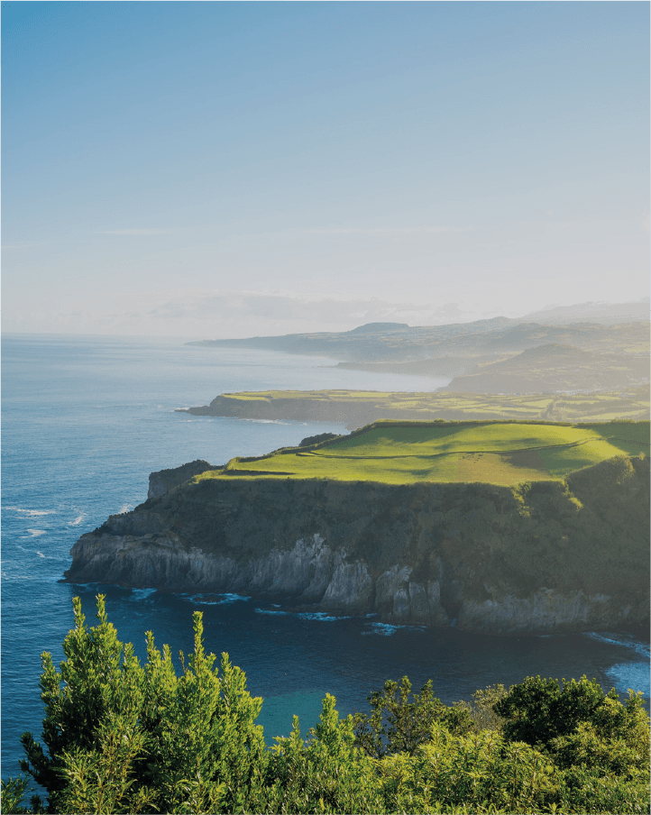 Paysage avec une met et des falaises