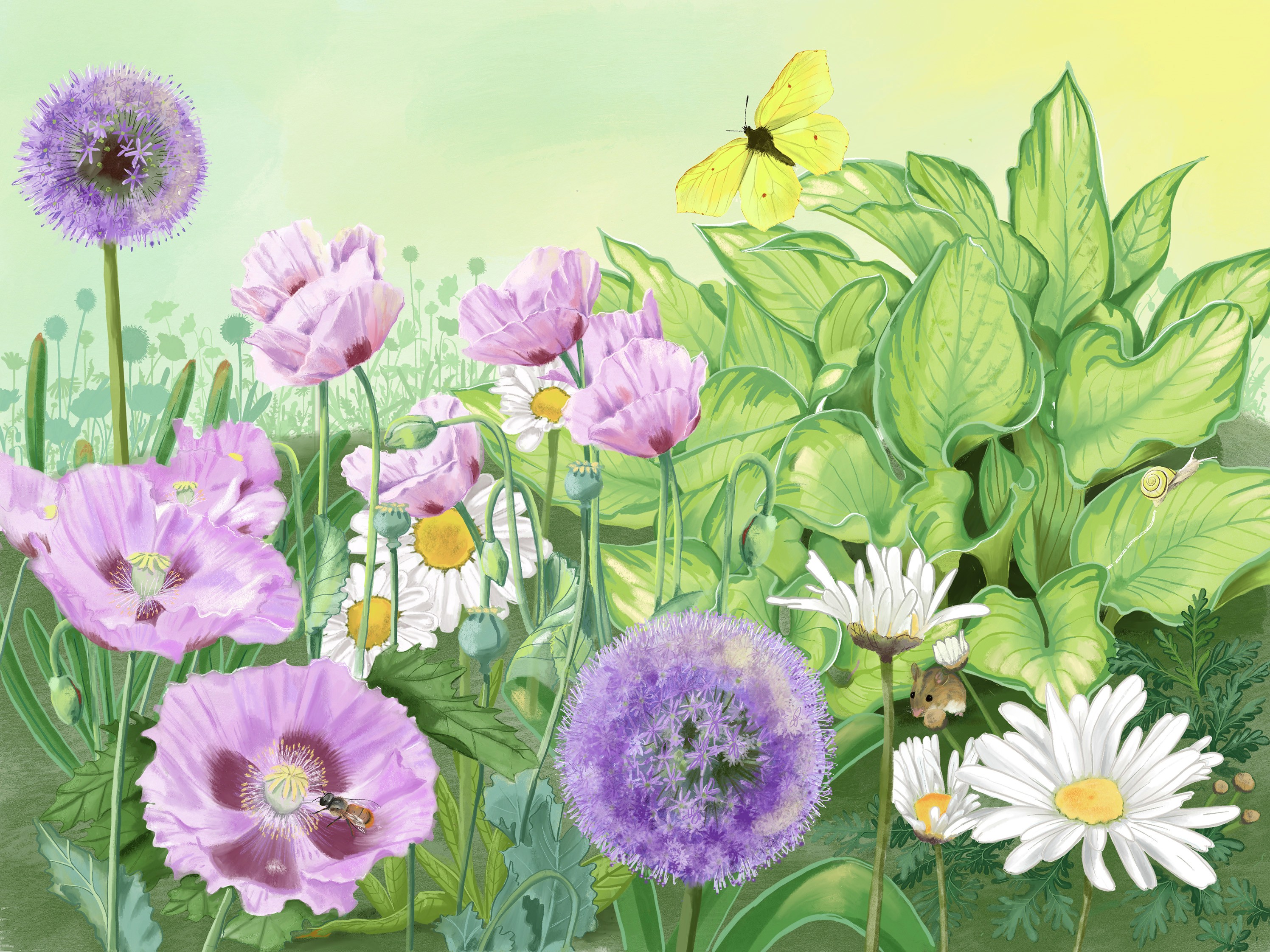 Ein Beet mit rosa Mohn, Kugellauch, Funkien und Margariten mit Schmetterlingen und einer Maus