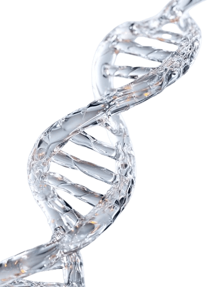 A 3D rendered geometric shape resembling a purple plastic pipe connector with six cylindrical openings arranged symmetrically, showcasing a modern and abstract design.