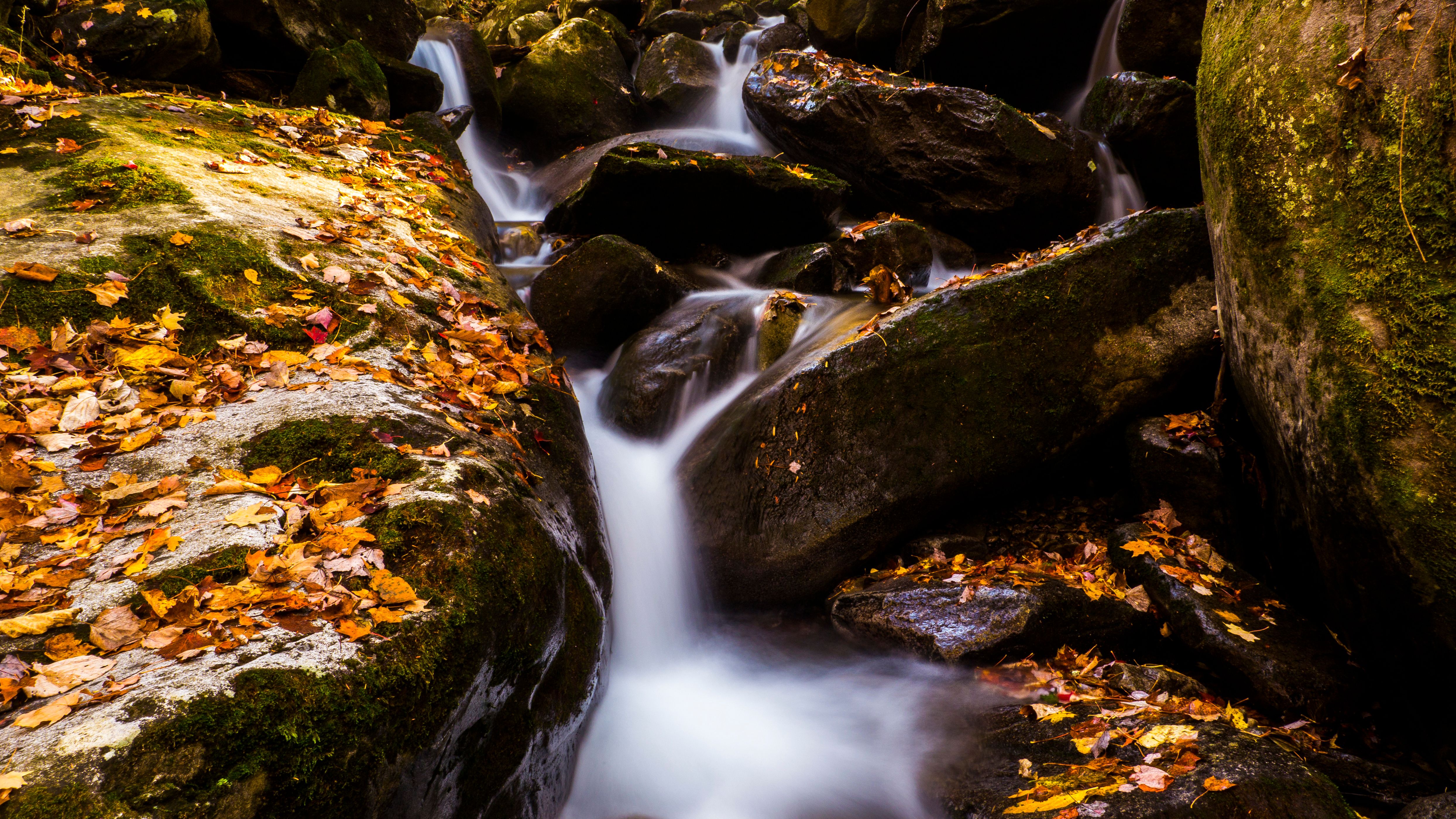 A Photographer’s Guide to the Smoky Mountains