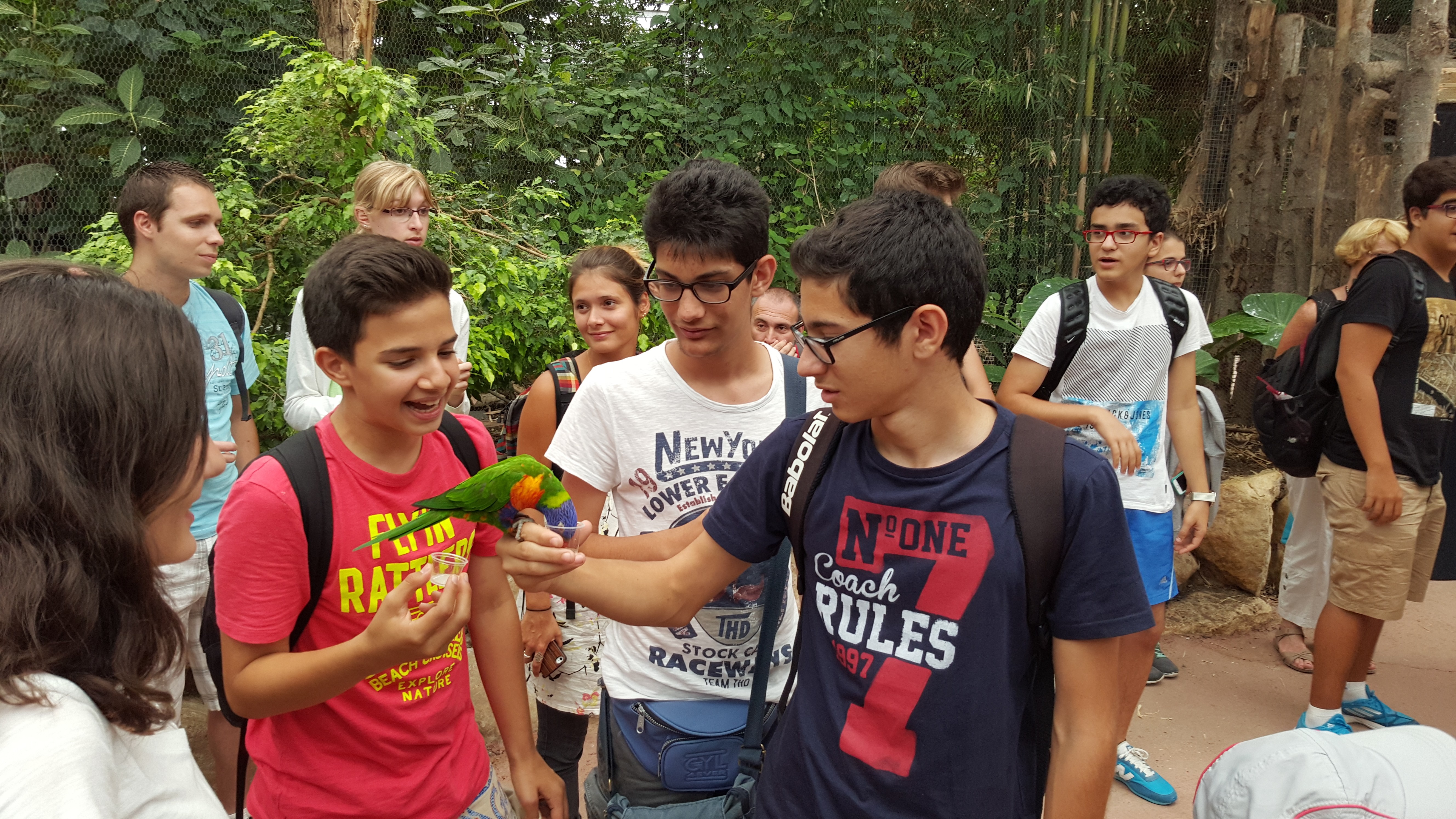 Sunlight illuminates buildings on a city street.