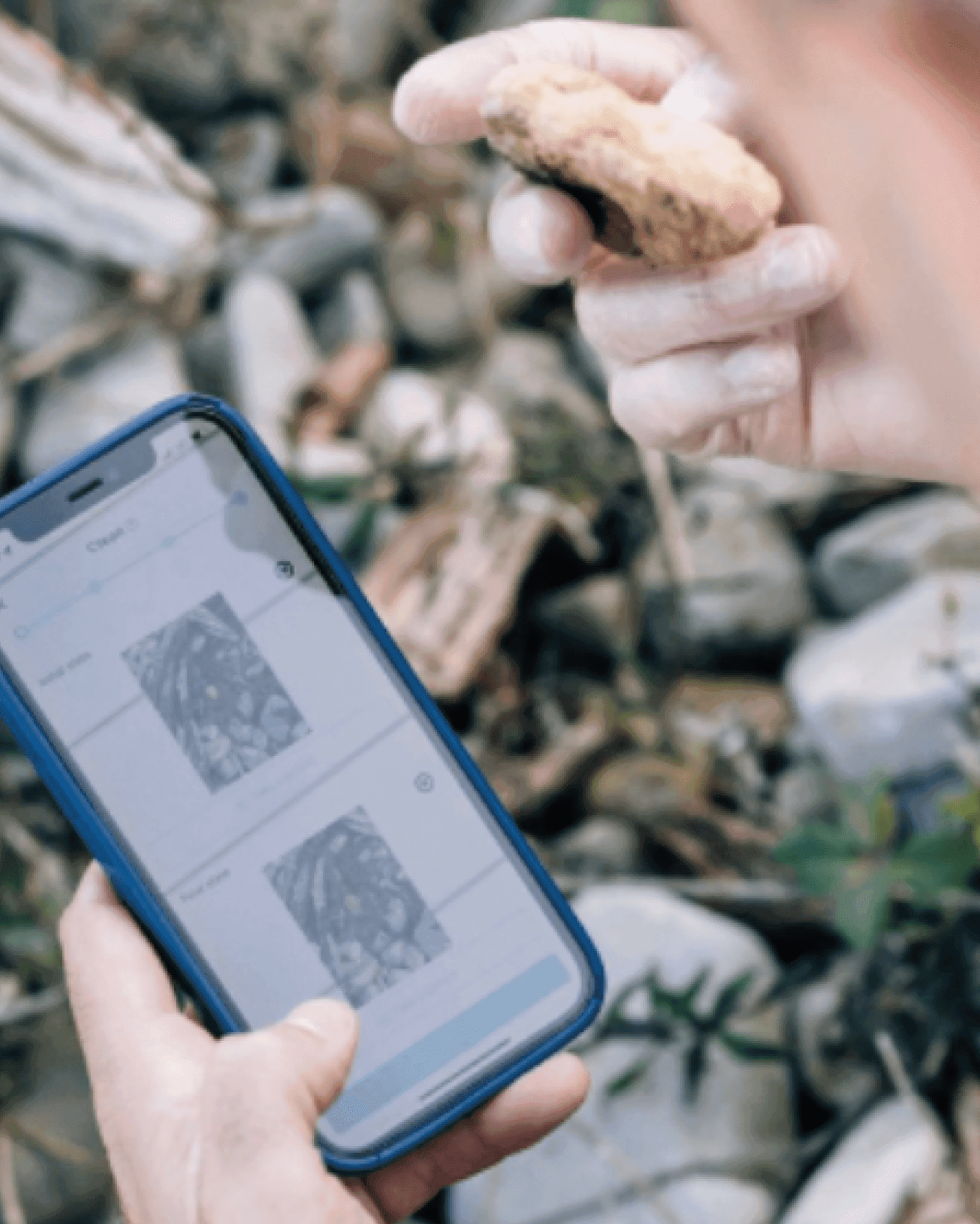 Billber Universal Plastic Digital Strategy