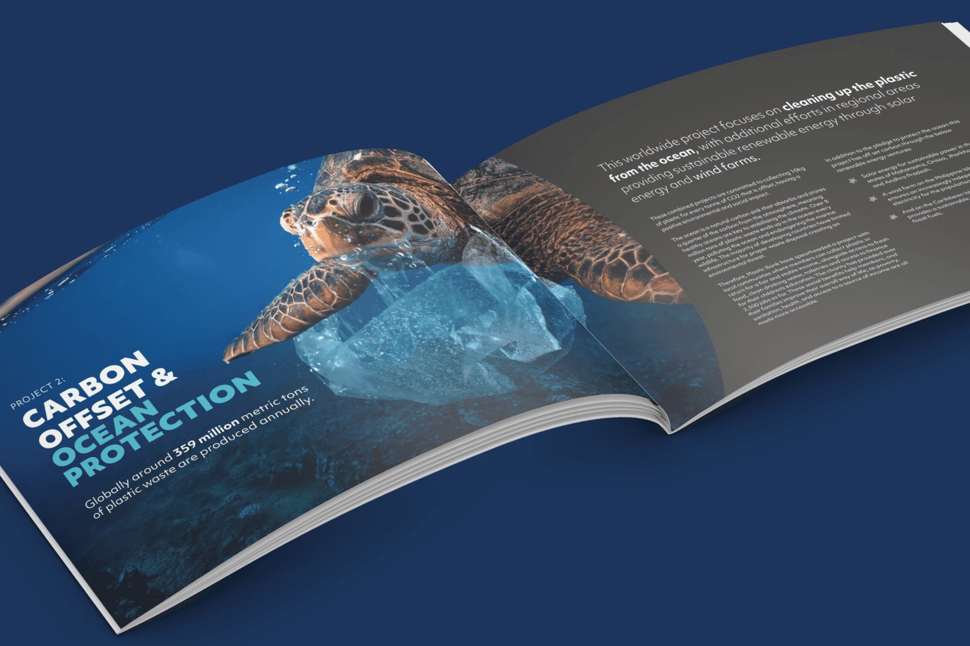 Sample image from a project