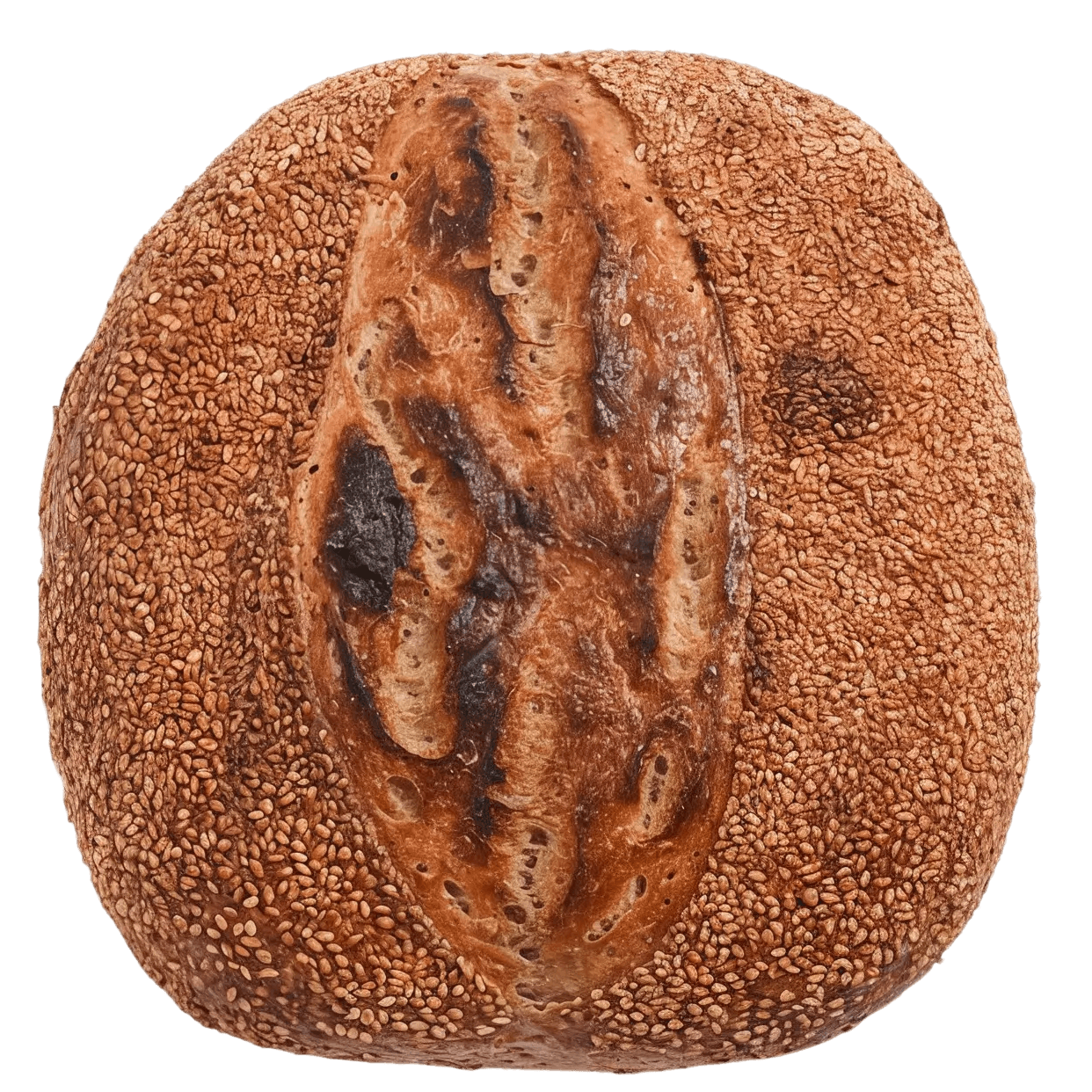 Nybakat surdegsbröd Västerås. Bästa bageriet Vasagatan för frukost, fika!