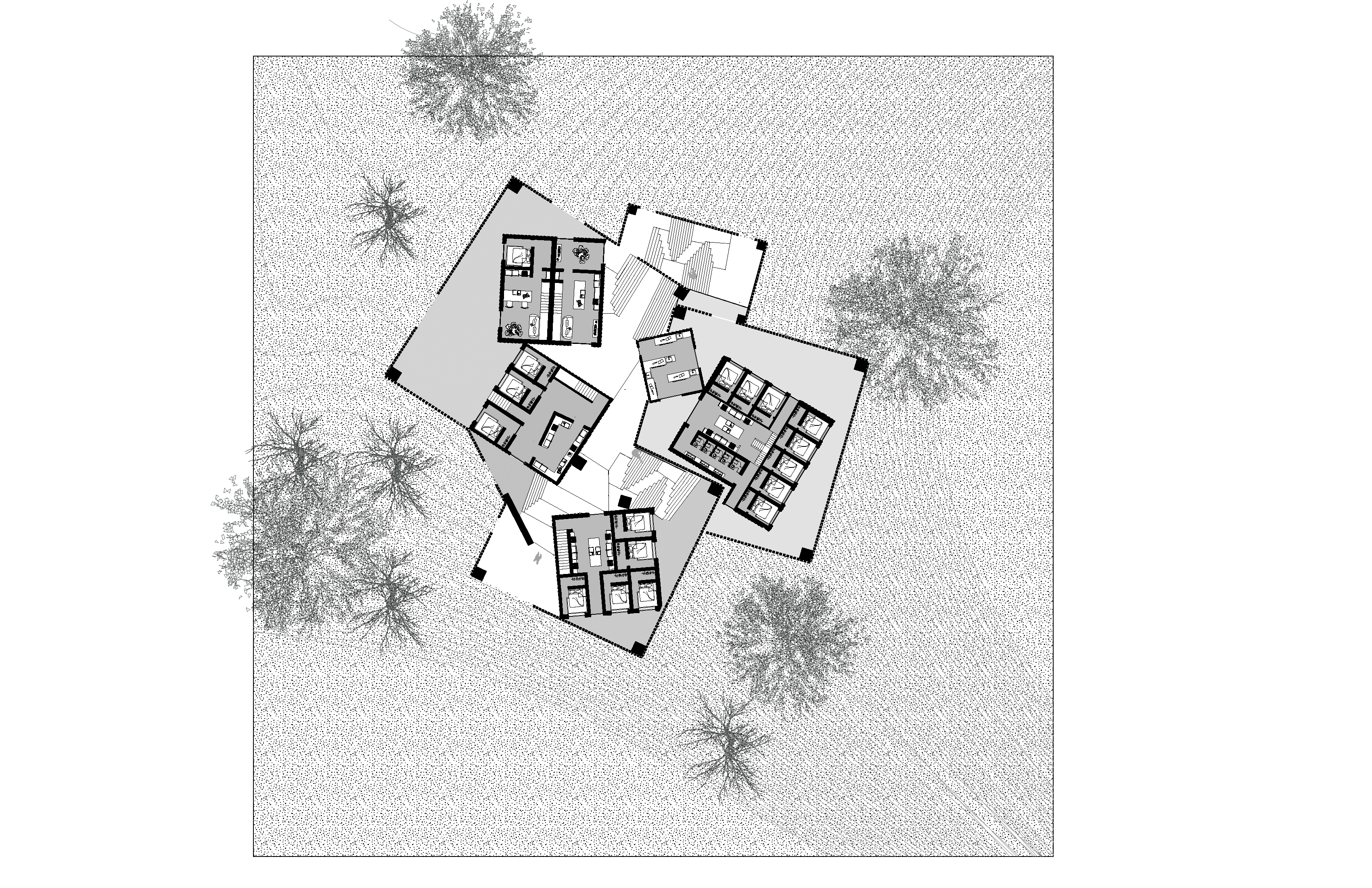 Portfolio image 6