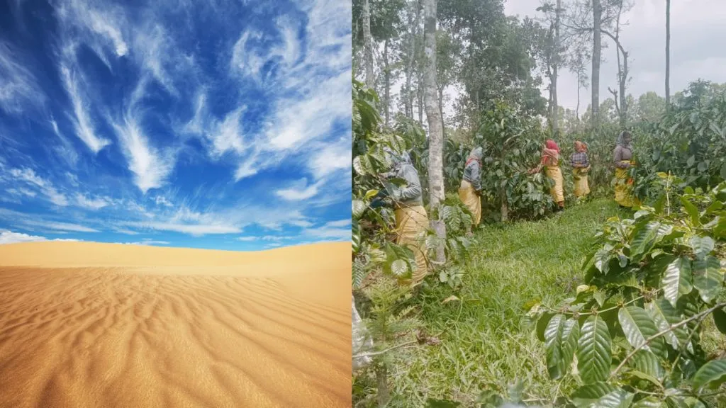 Converting Desert to Farmland