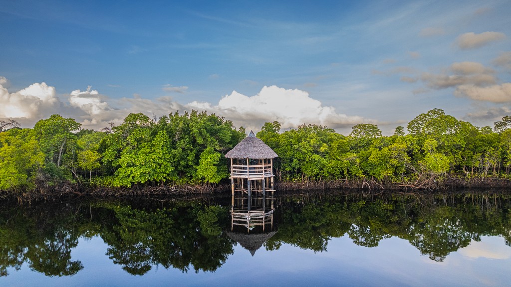 Mangrove boardwalk viewpoint. Photo credit Anthony Ochieng Onyango