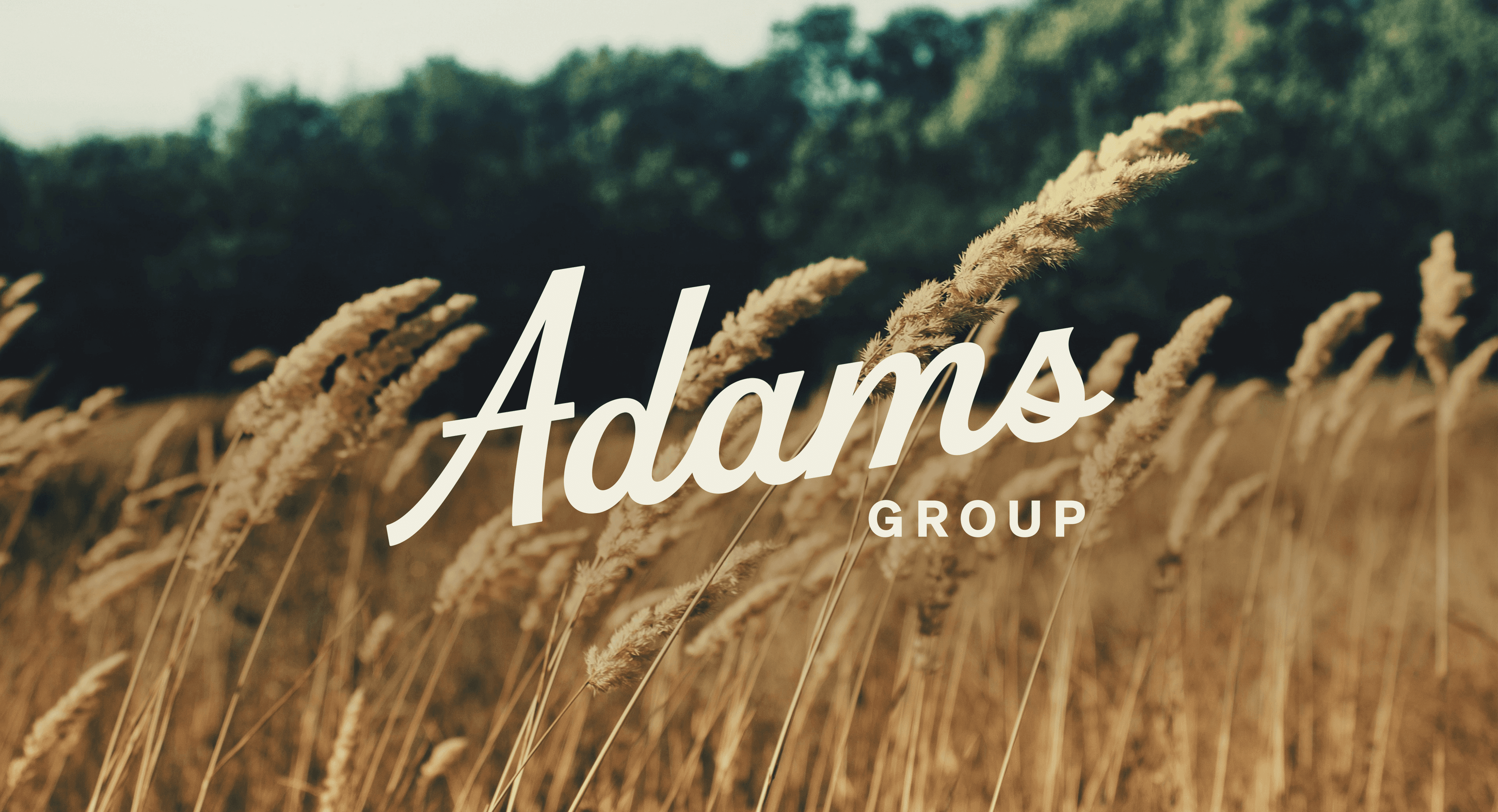 Adams Group
