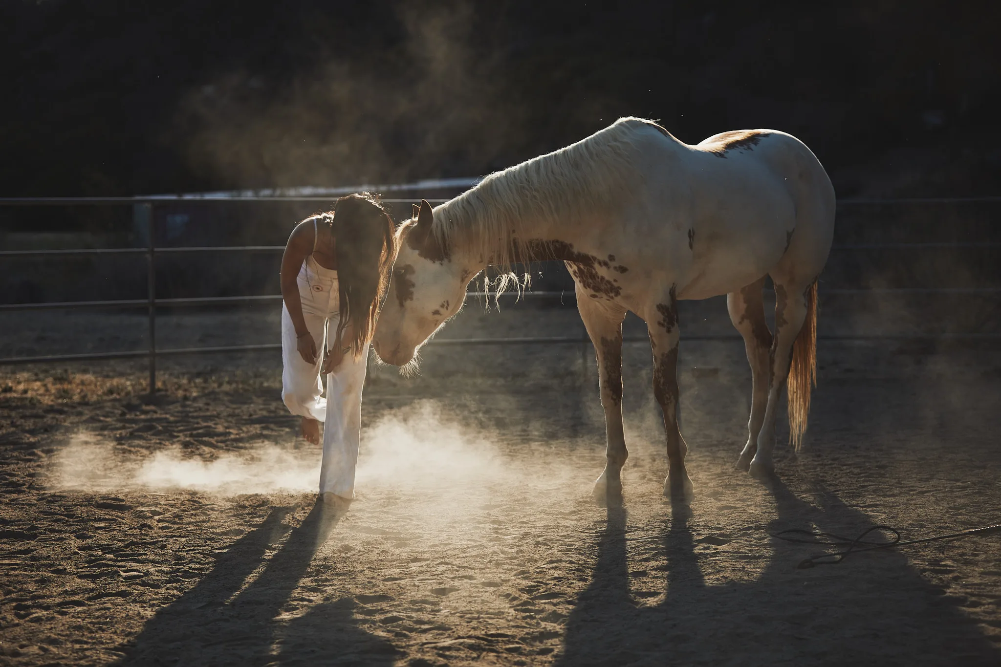 woman and horse bow heads together — lifestyle photography by Tom Kubik