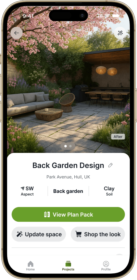 Phone mokcup of spacelift
