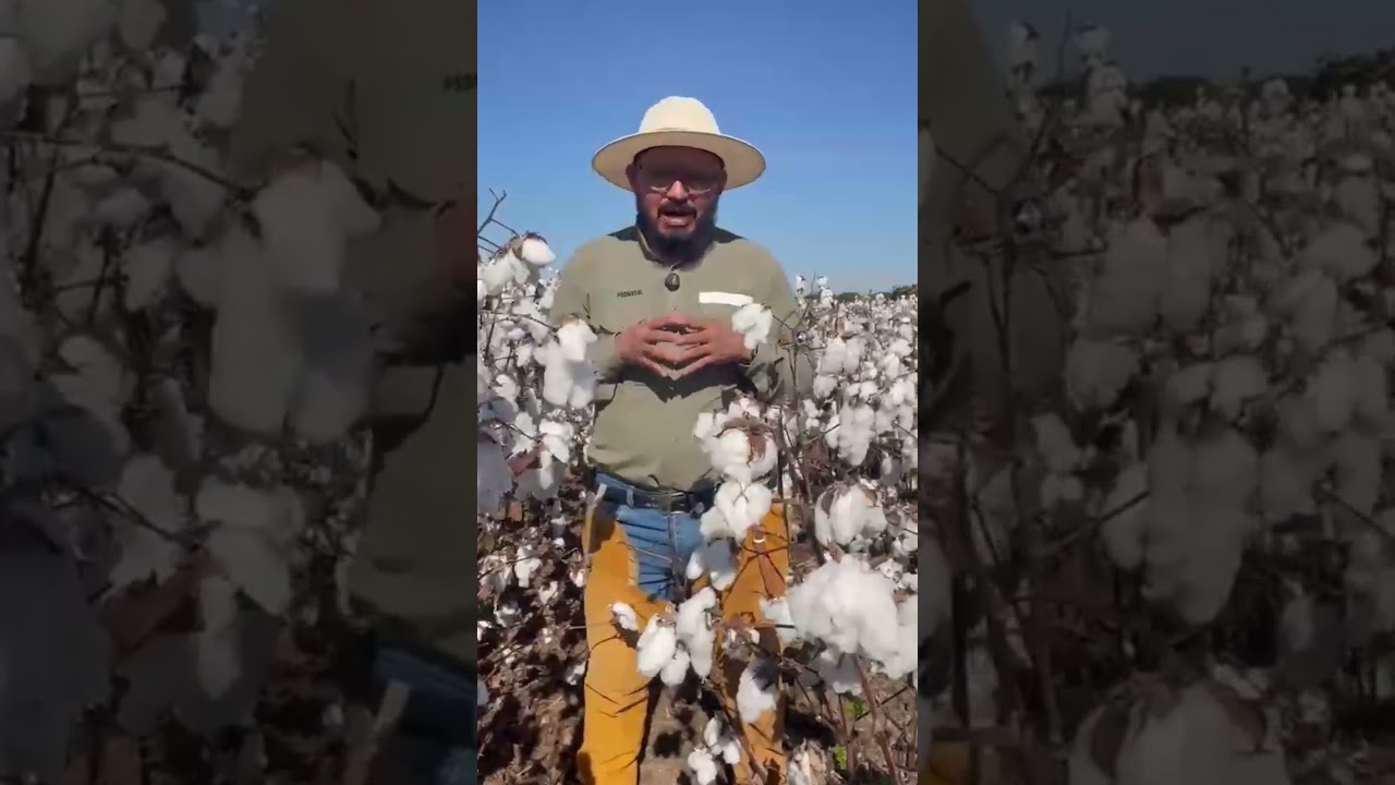 Capa do depoimento em vídeo de Jean Dias