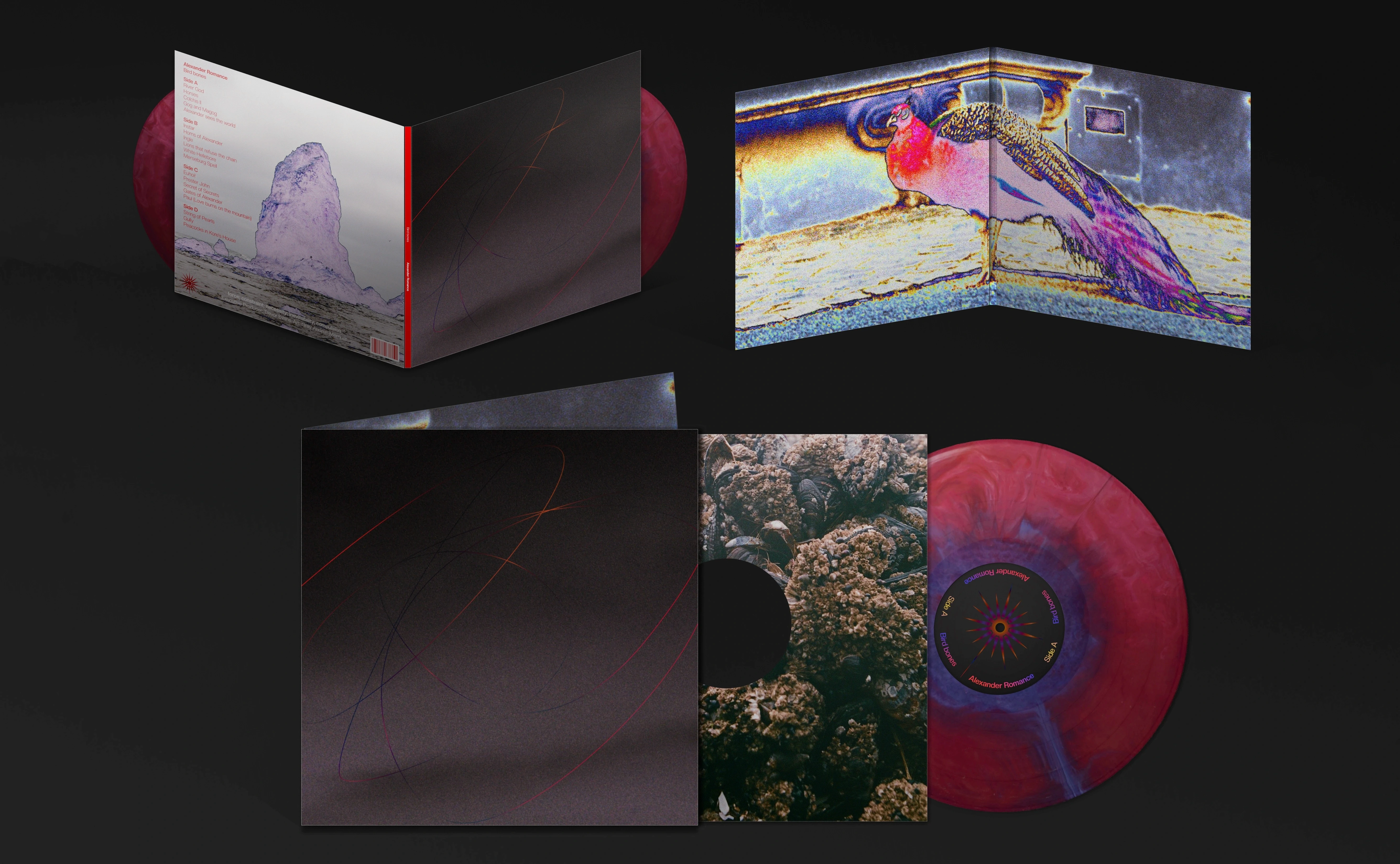 Vinyl mockup for 'Alexander Romance' by Bird bones