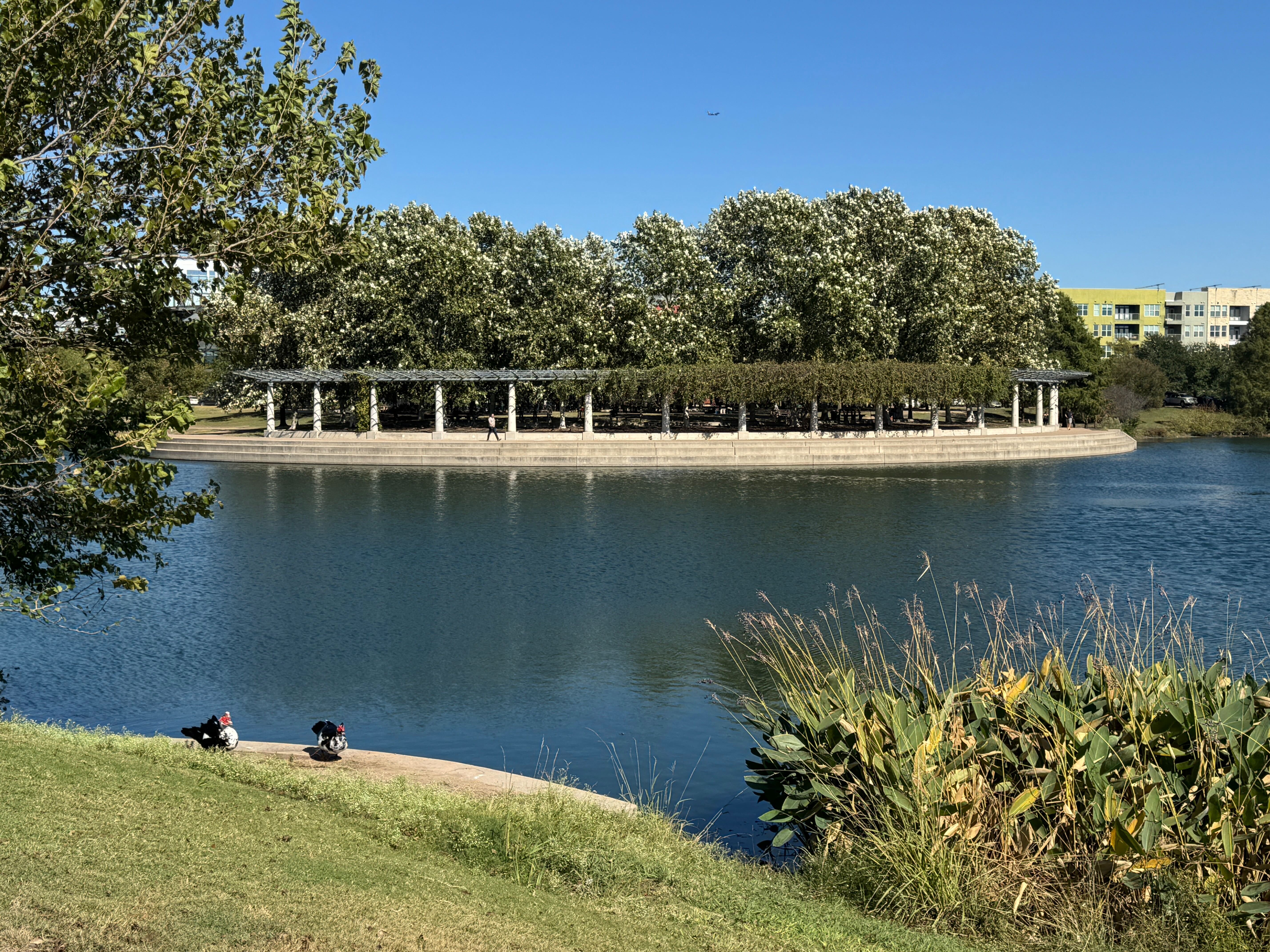 Freshly Renamed Girard Kinney Park in Mueller