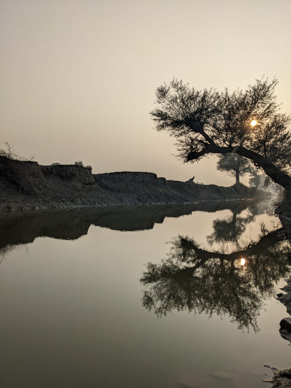 Coastal Scene with Boats