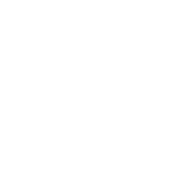 Logos des moteurs génératifs cibles de l'agence 0.1Lab : Gemini