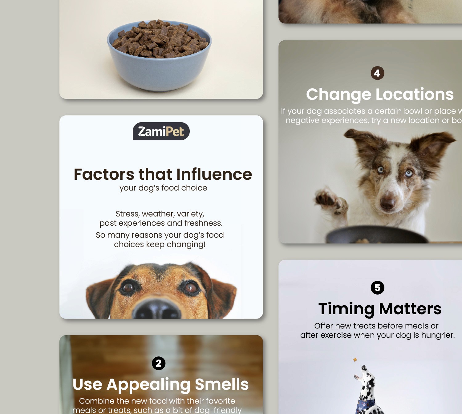 Zamipet social posts Happy Hound