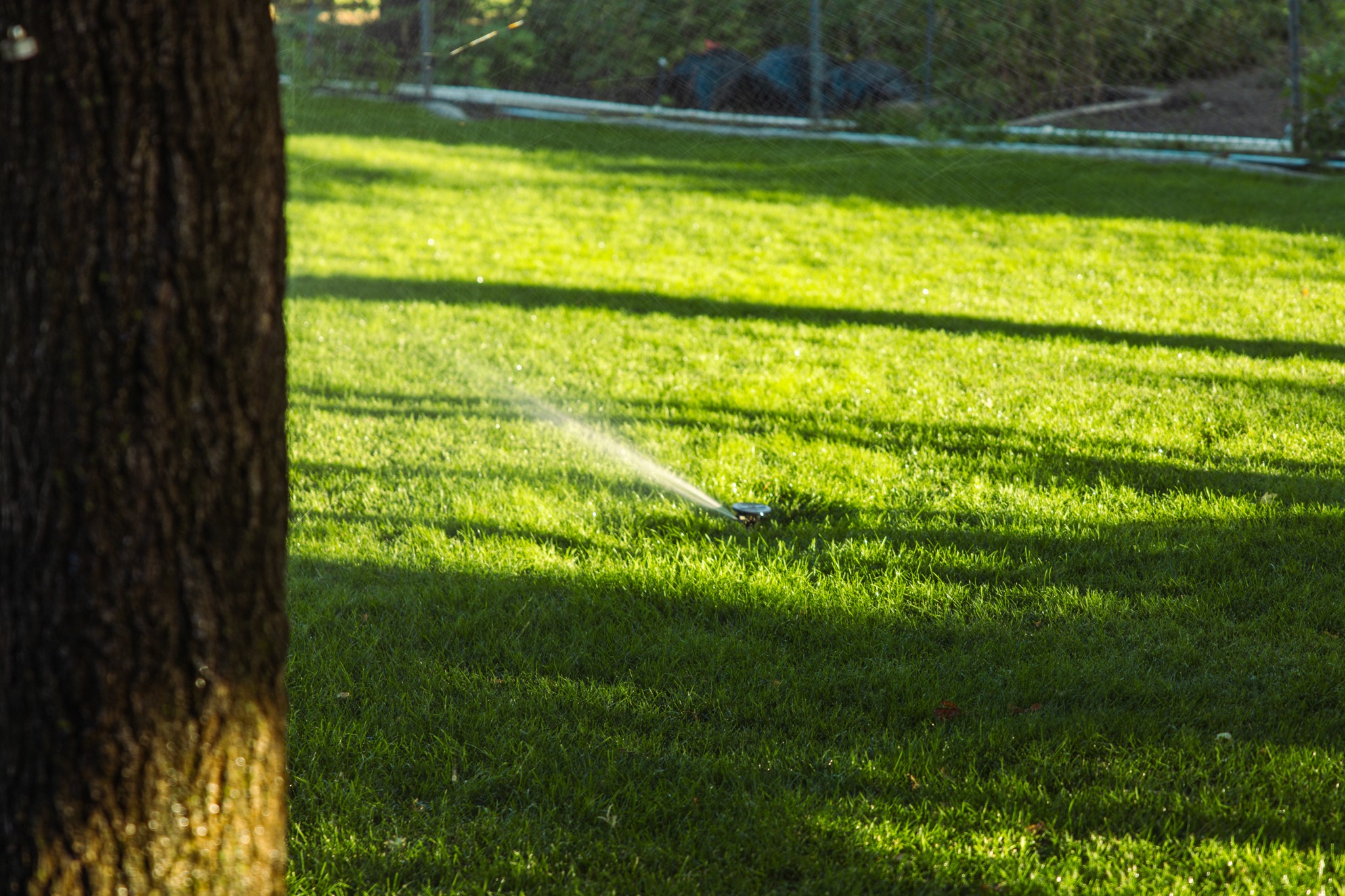 Lawn irrigation running at sunrise in Brigham City
