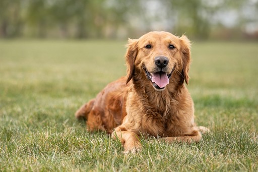 Fashion portrait photography