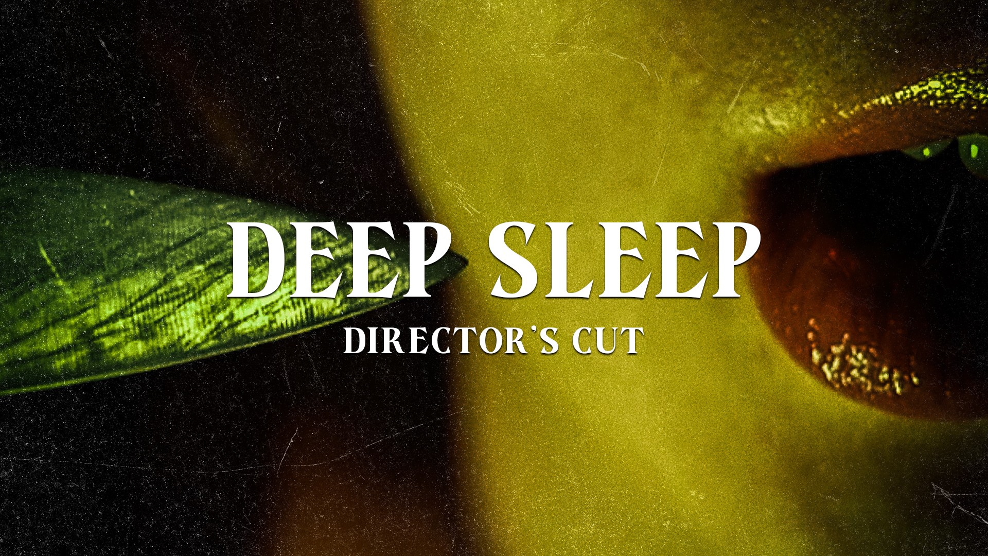deep sleep director's cut