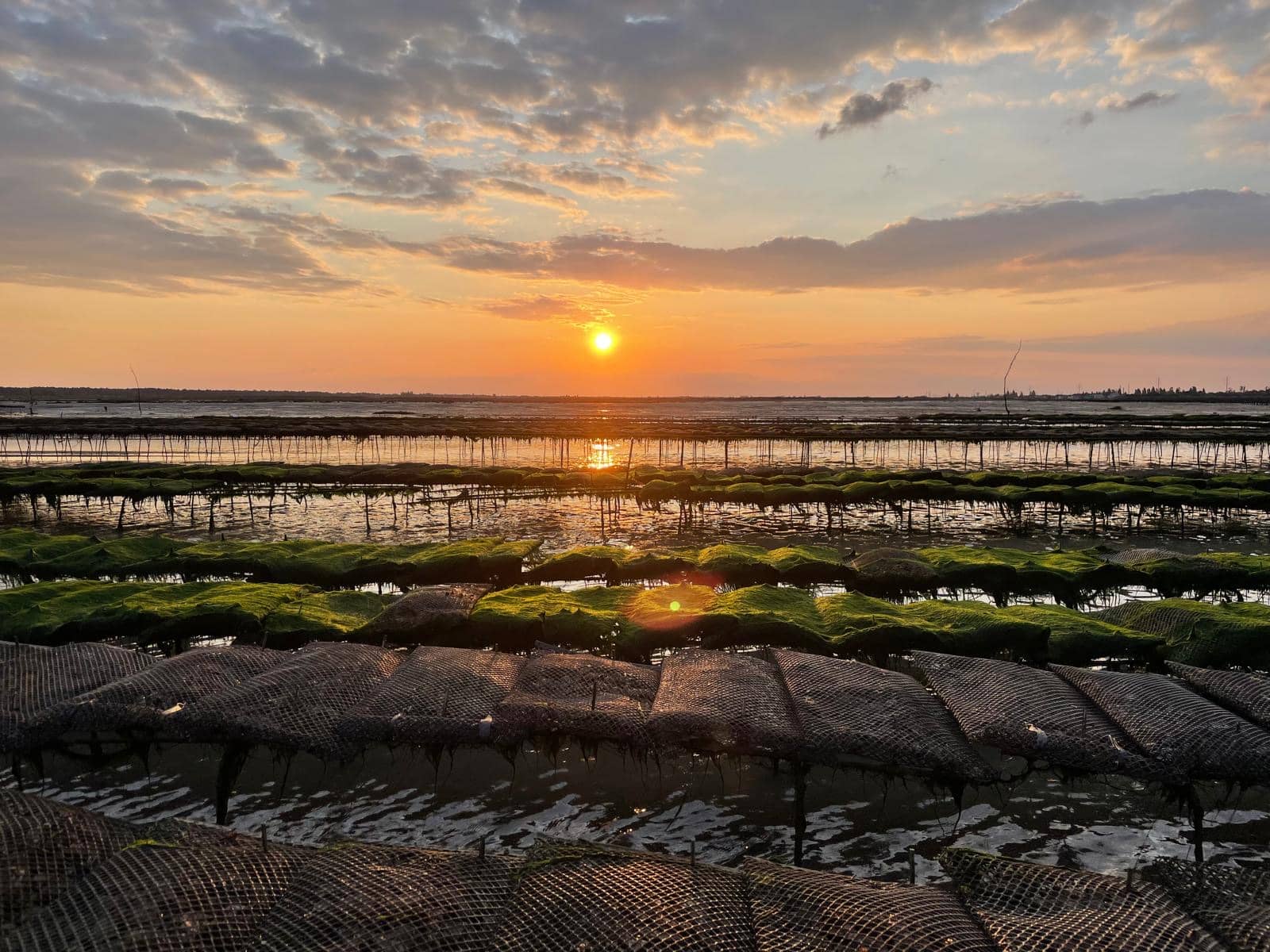 Parcs à huîtres au large du Chenal d'Ors