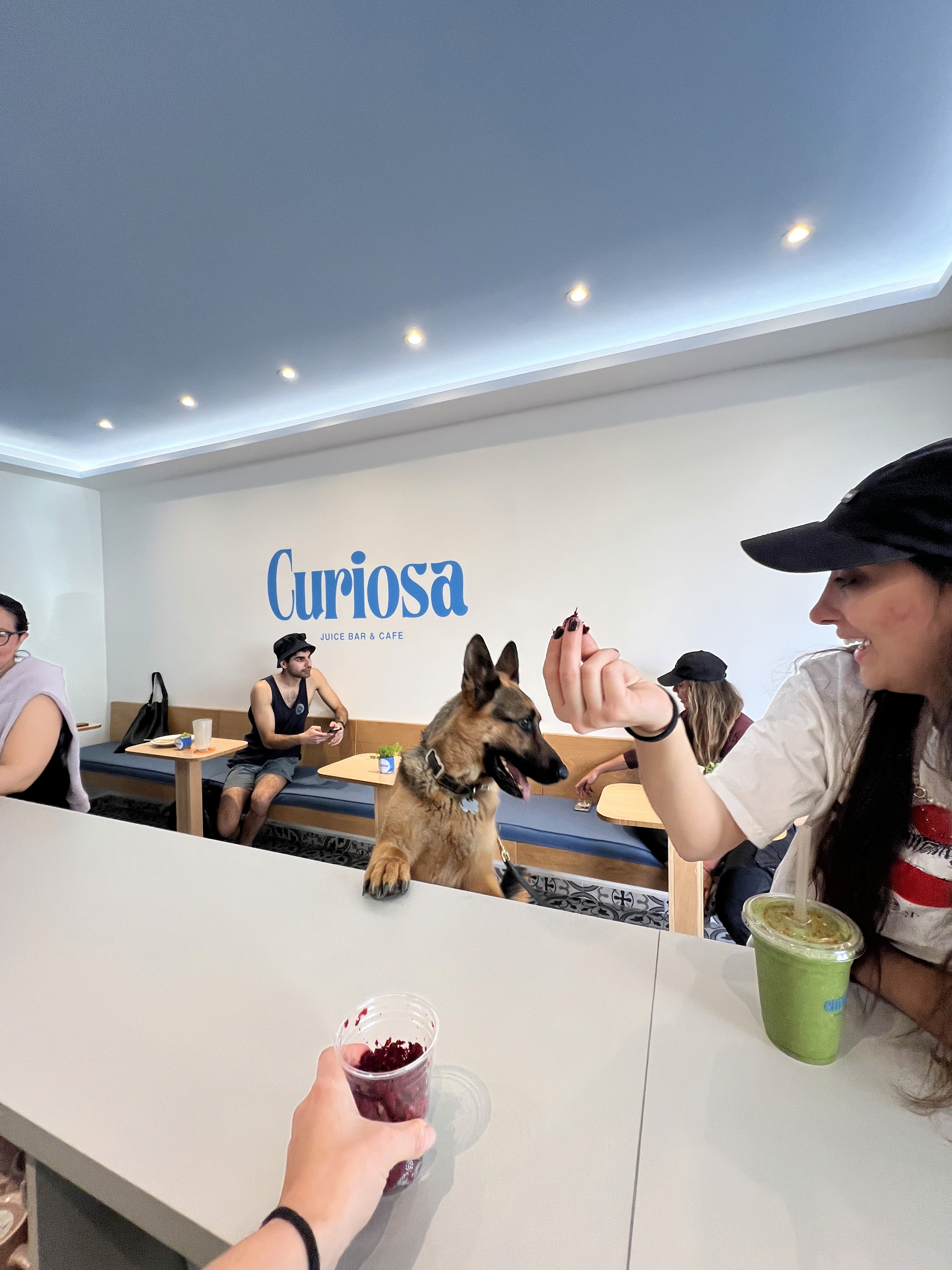 Lemon Olive Oil Cake