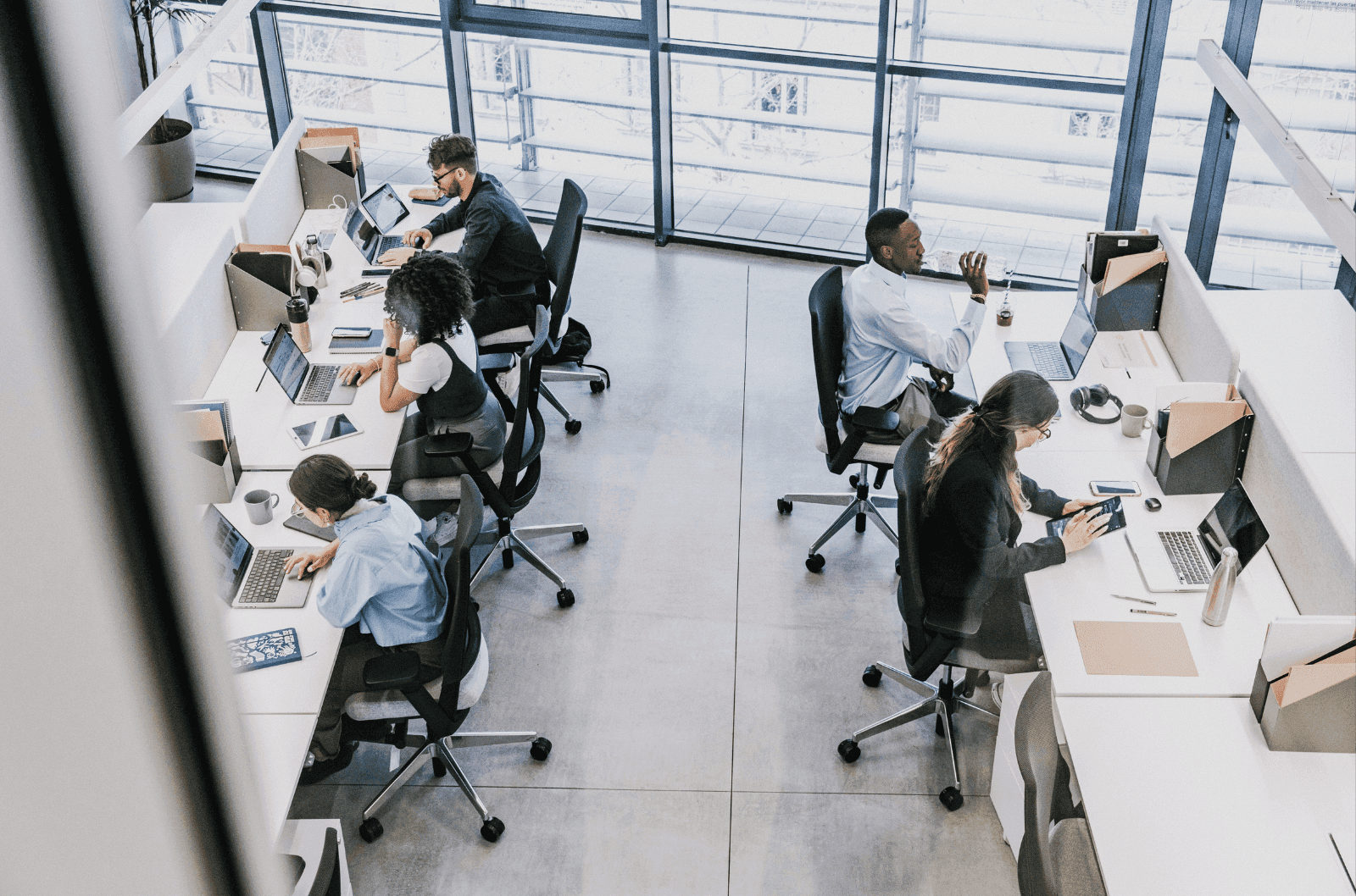 People working in desk booking layout office