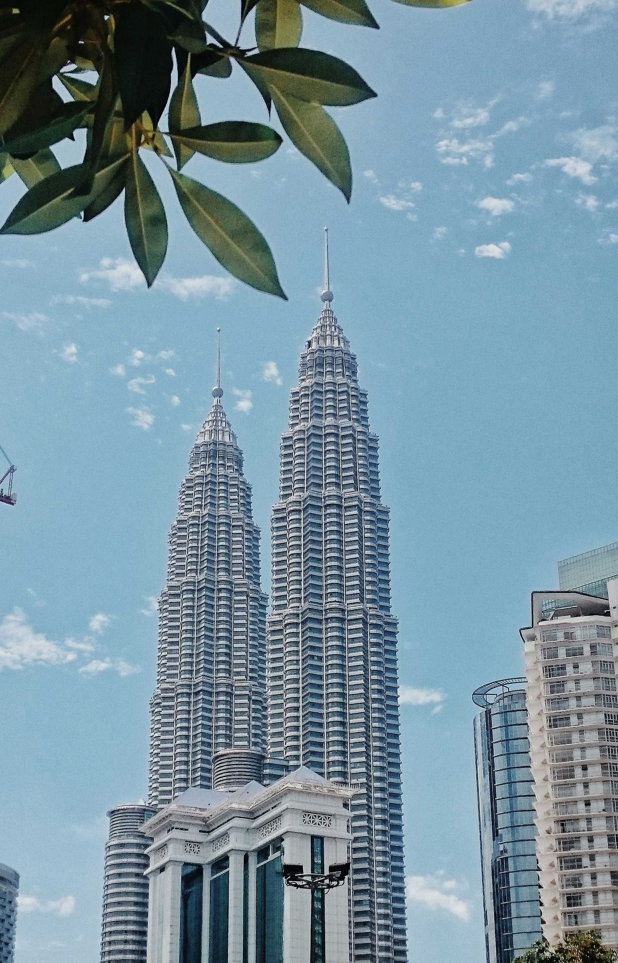 Vintage Car Under Palm Trees