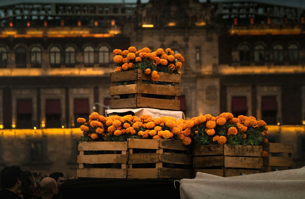 Crates of cempasuchil marigolds stacked in a plaza in front of a floodlit colonial palace at dusk
