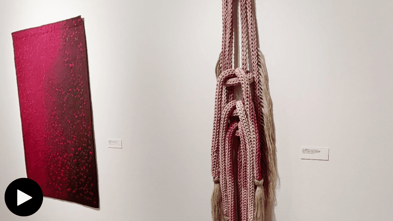 Porfirio Gutiérrez's untitled work from his Migration series and Tanya Aguiñiga's "Cosas que Sangran" stand side by side. They are two different artworks made of natural fibers that use cochineal dye to achieve various shades of red, pink, and magenta.