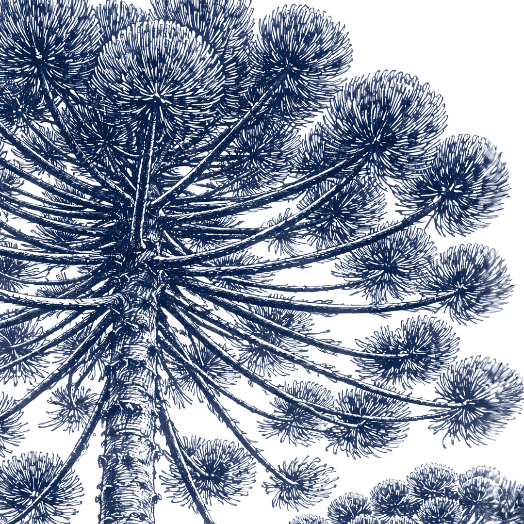 Vista da cidade de Curitiba com prédios residenciais ao fundo e o Parque Barigui com lago em primeiro plano.