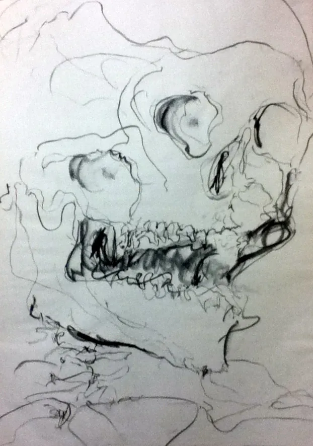estudio de cráneo, obra técnica mixta